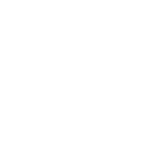 logo-pflegedienst-rose-weiss